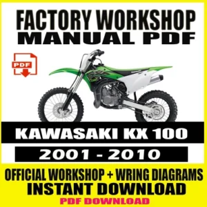 Kawasaki KX100 Workshop Manual (2001-2010)